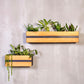 Groove Stainless Steel & Wood Indoor Wall Planter