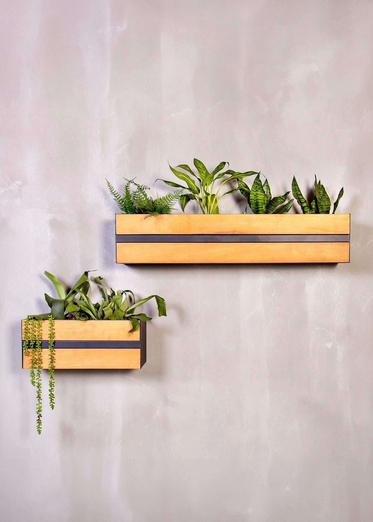 Groove Stainless Steel & Wood Indoor Wall Planter