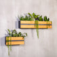 Groove Stainless Steel & Wood Indoor Wall Planter