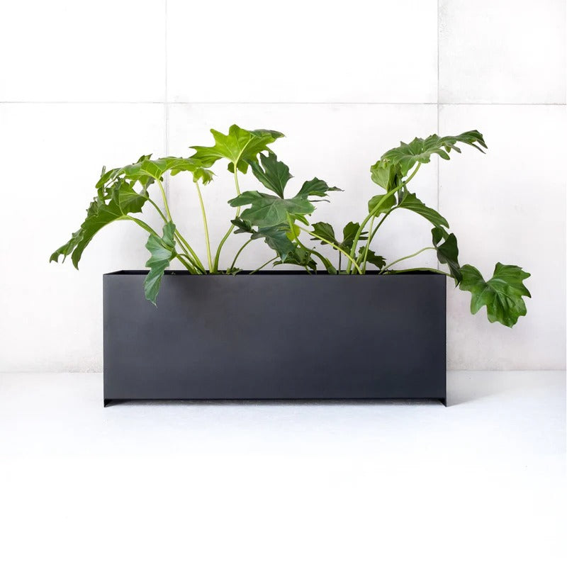 Loft Box Indoor Planter