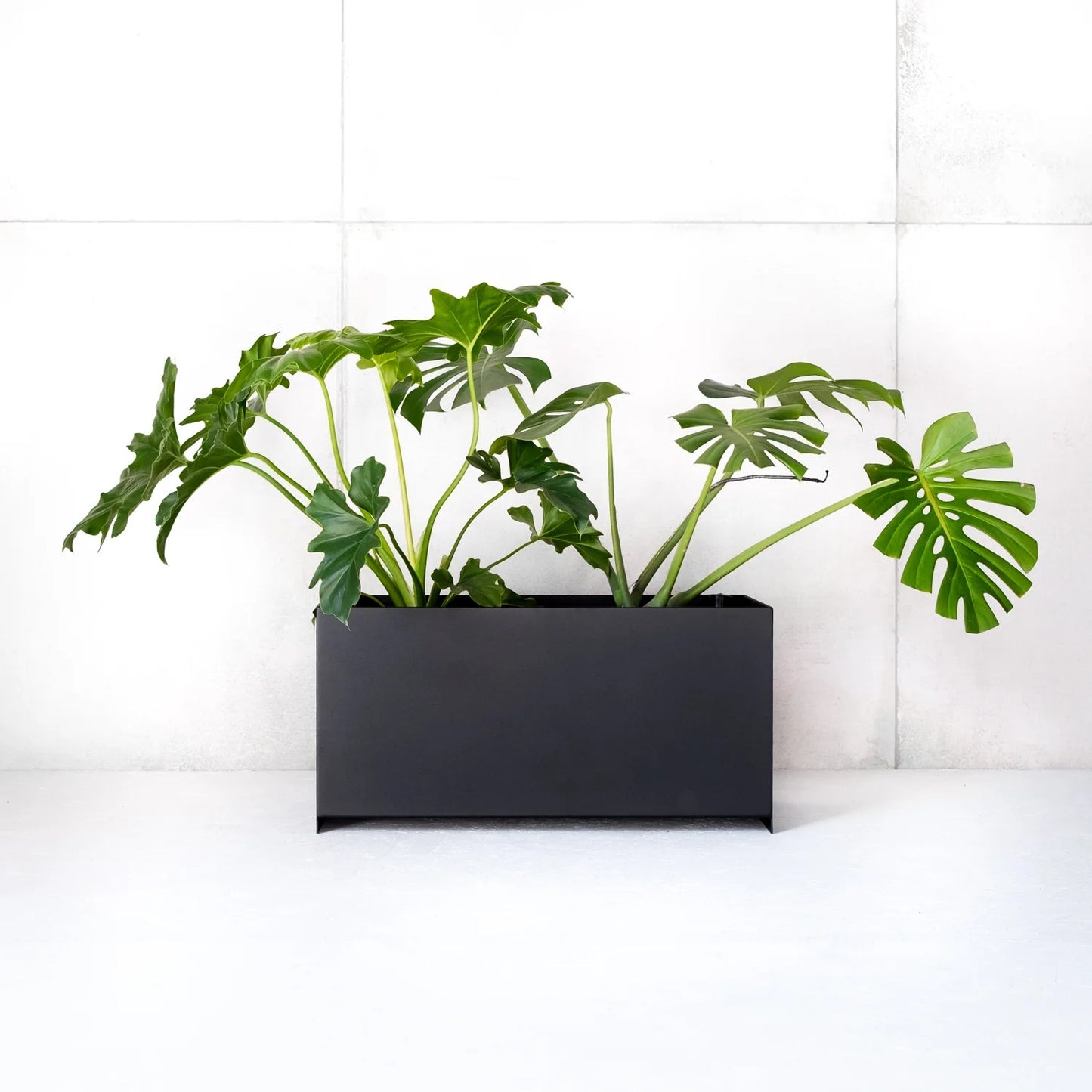 Loft Box Indoor Planter