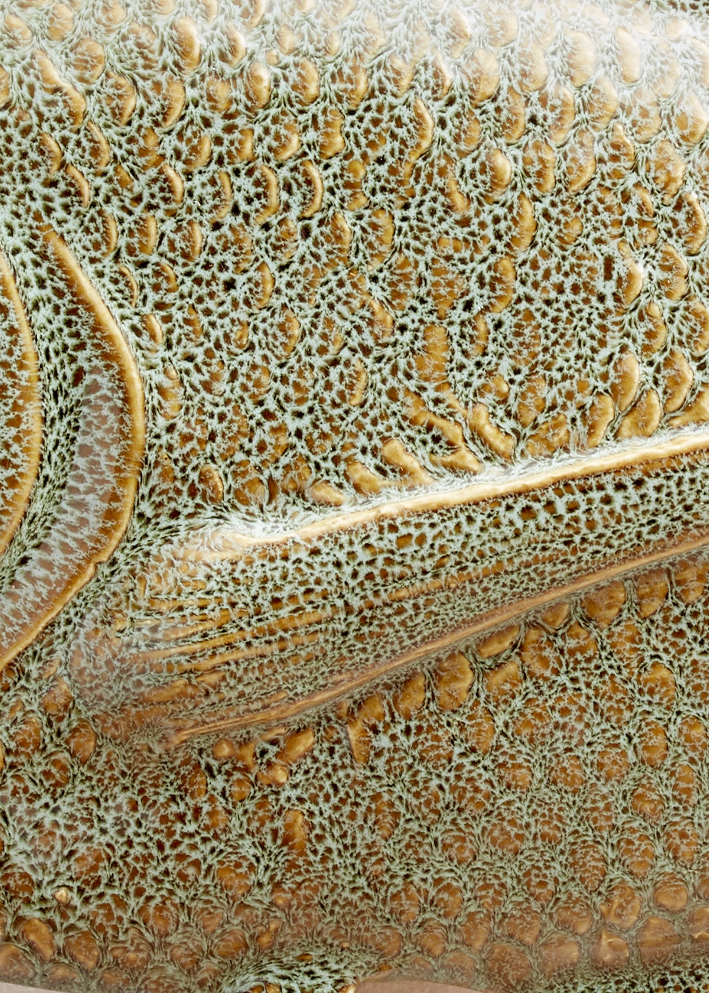 Wiid Galjoen Fish Ceramic Wall Cast