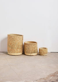 Porcupine Woven Palm Fronds Storage Basket
