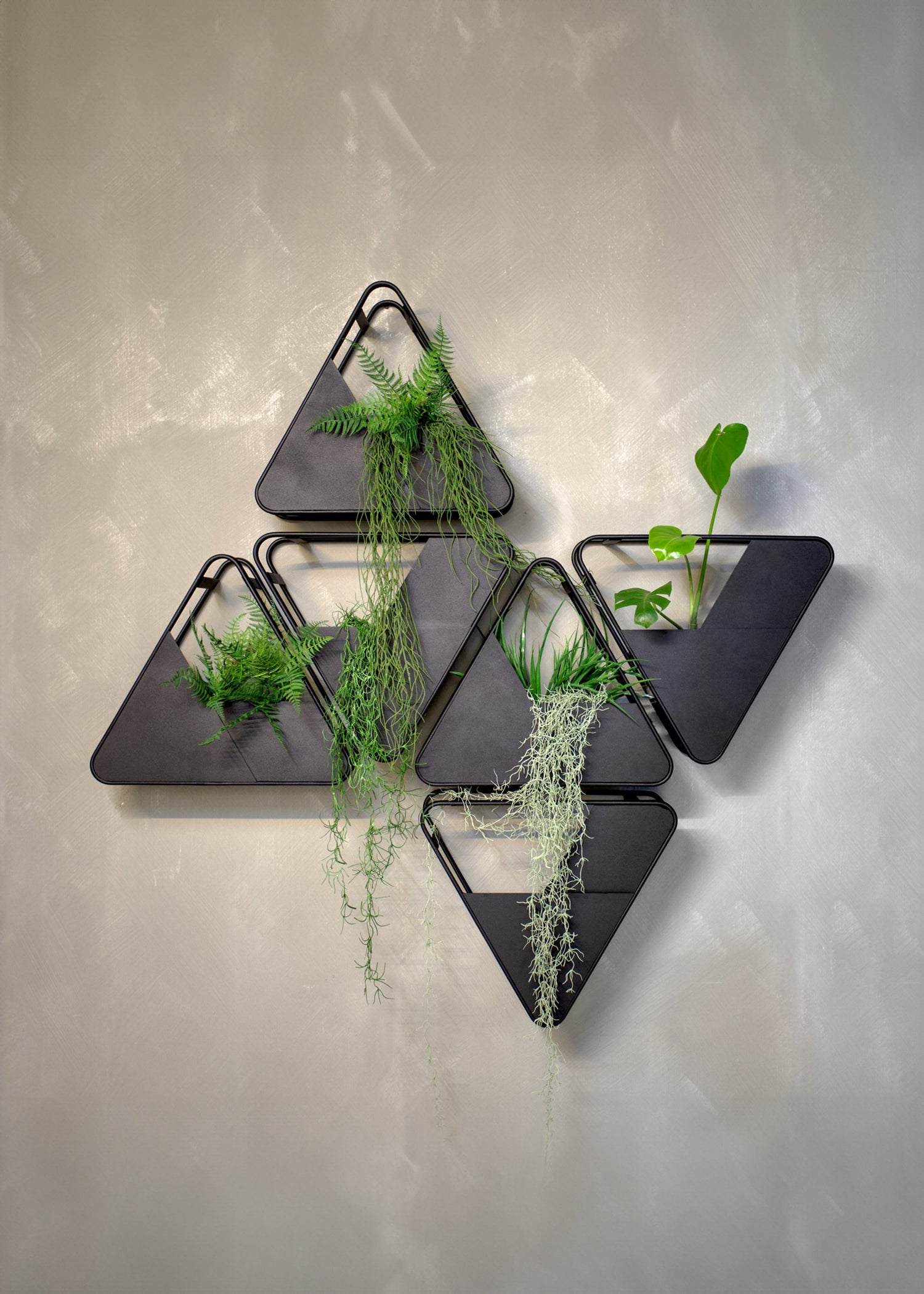 Wall Planters