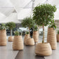 Small, Medium, Large Modern Wood Planter: Tuber Wood Planter