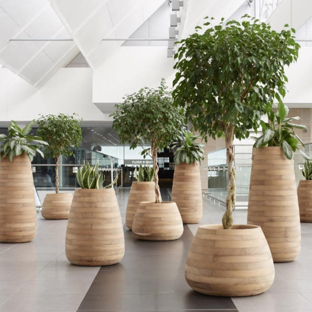 Small, Medium, Large Modern Wood Planter: Tuber Wood Planter