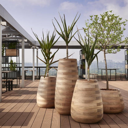 Small, Medium, Large Modern Wood Planter: Tuber Wood Planter