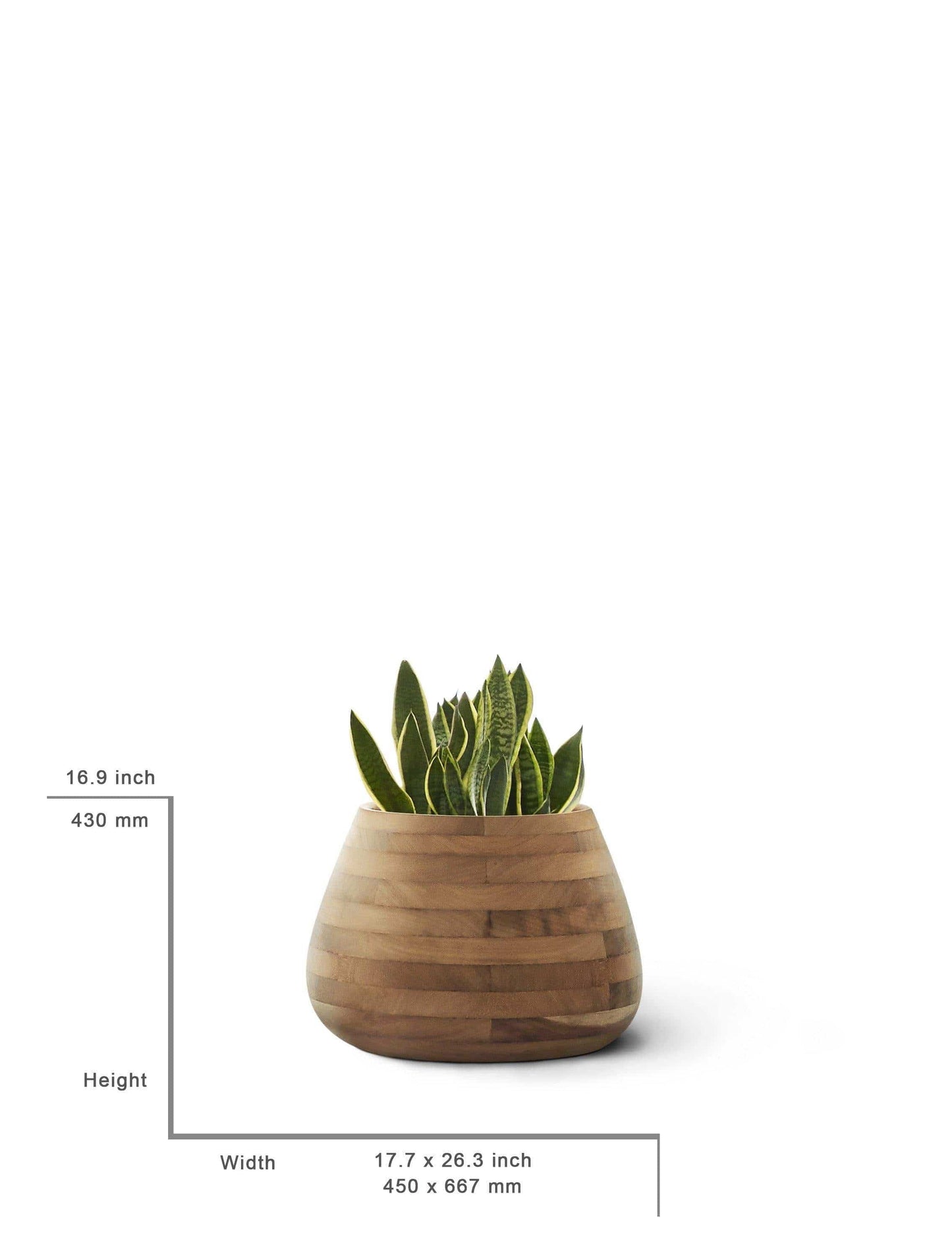 Small, Medium, Large Modern Wood Planter: Tuber Wood Planter