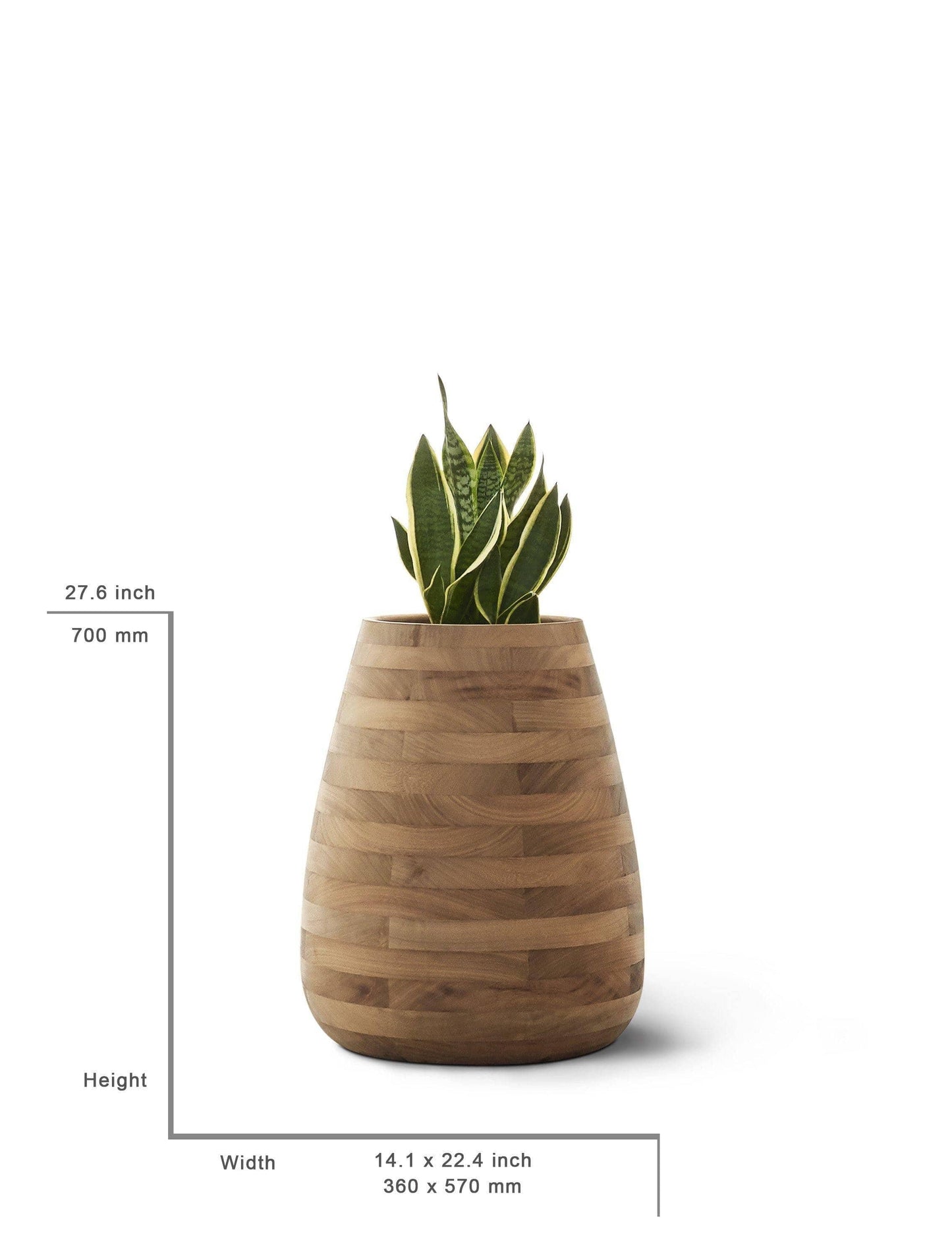 Small, Medium, Large Modern Wood Planter: Tuber Wood Planter