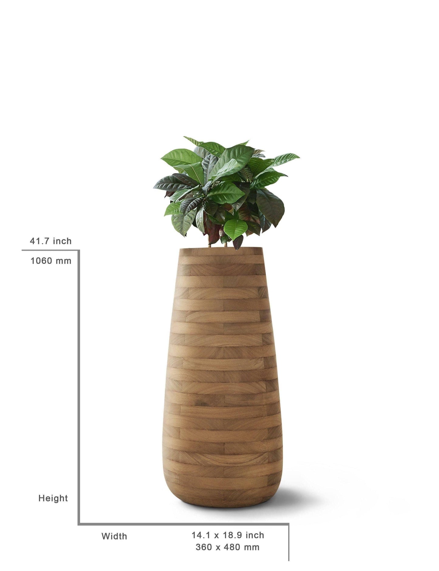 Small, Medium, Large Modern Wood Planter: Tuber Wood Planter