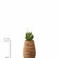 Small, Medium, Large Modern Wood Planter: Tuber Wood Planter