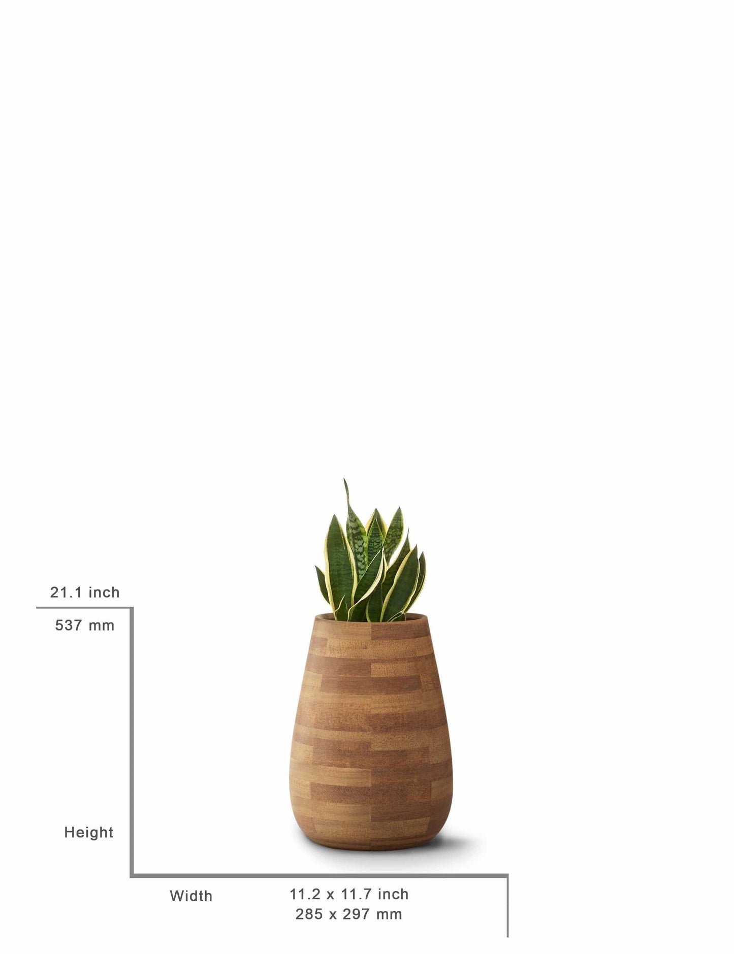 Small, Medium, Large Modern Wood Planter: Tuber Wood Planter