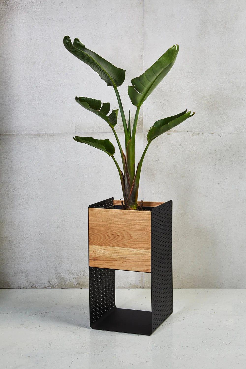 wood and metal indoor planter Vika Indoor Stainless Steel & Ash Wood Planter