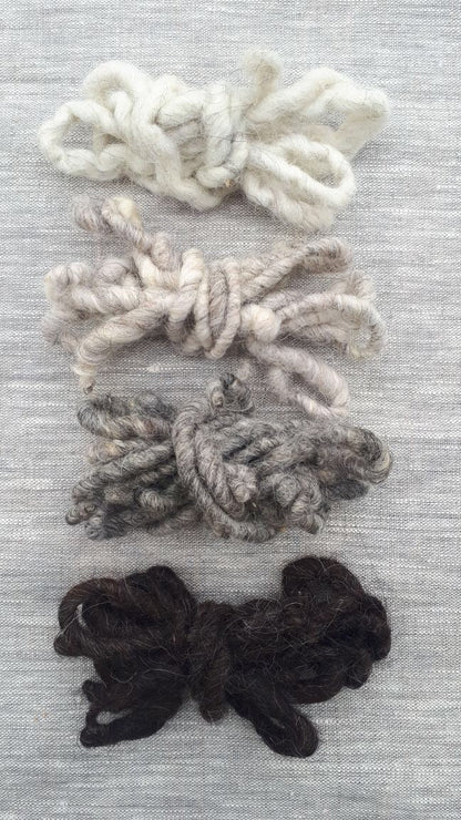 Modern Boho Wool Rug: Road to Oz Rug